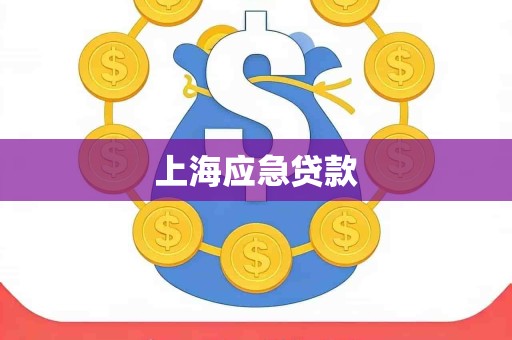 上海应急贷款