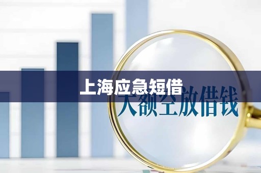 上海应急短借
