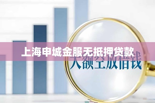 上海申城金服无抵押贷款