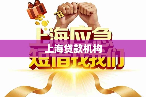 上海贷款机构